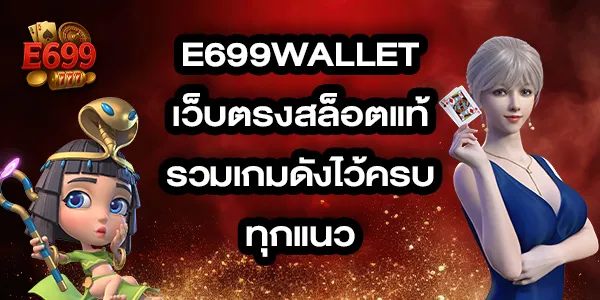 E699wallet